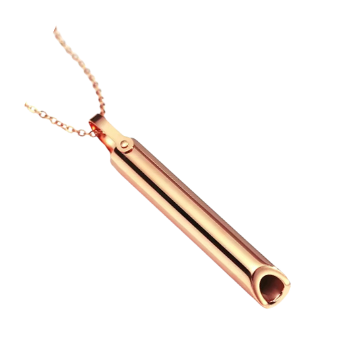 AntiRök™ Rökavvänjningshalsband