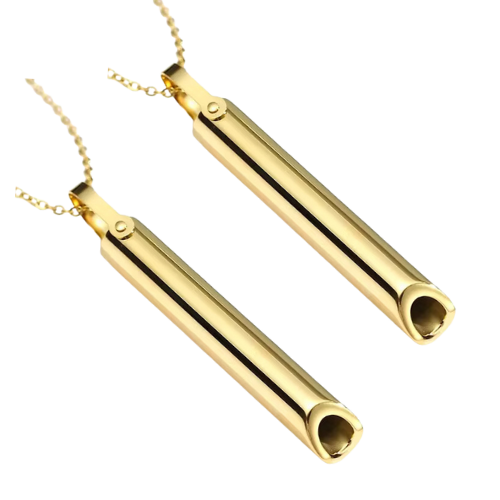 AntiRök™ Rökavvänjningshalsband