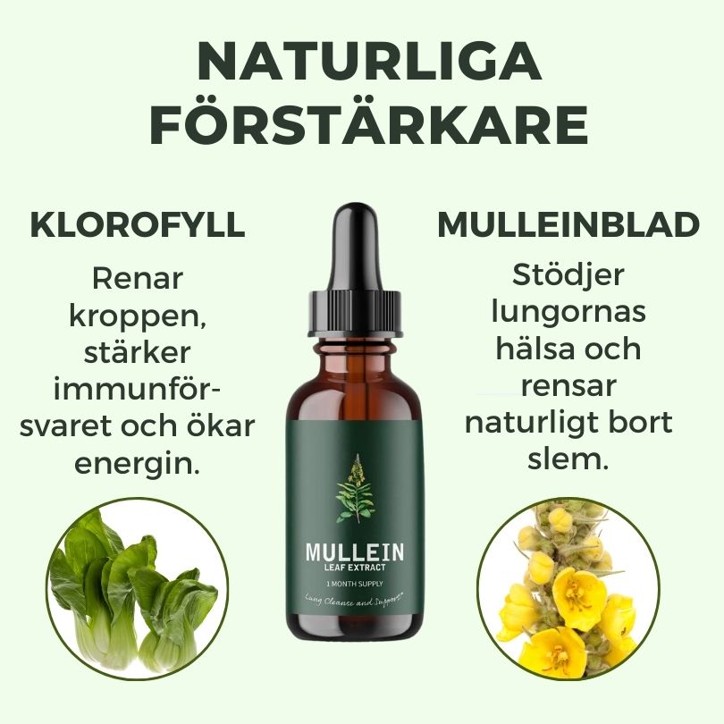 Luftren™ Mullein-extrakt