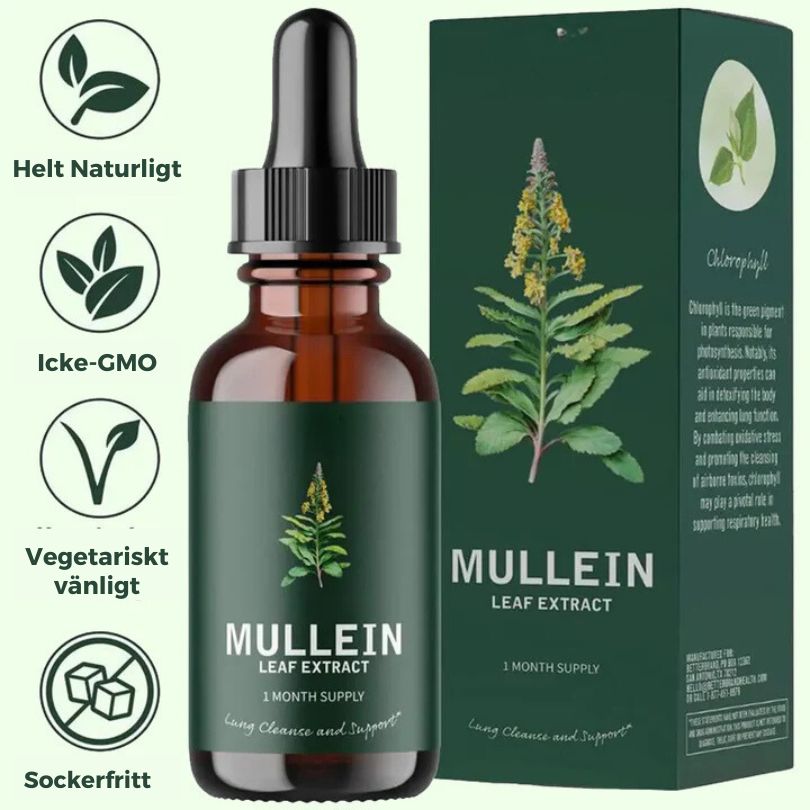 Luftren™ Mullein-extrakt