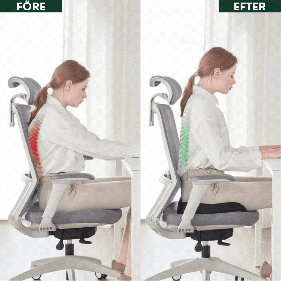 HipMoln™ Sittdyna